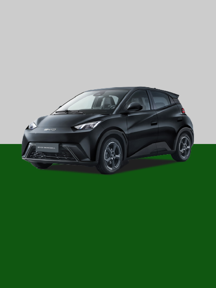BYD Seagull Eléctrico